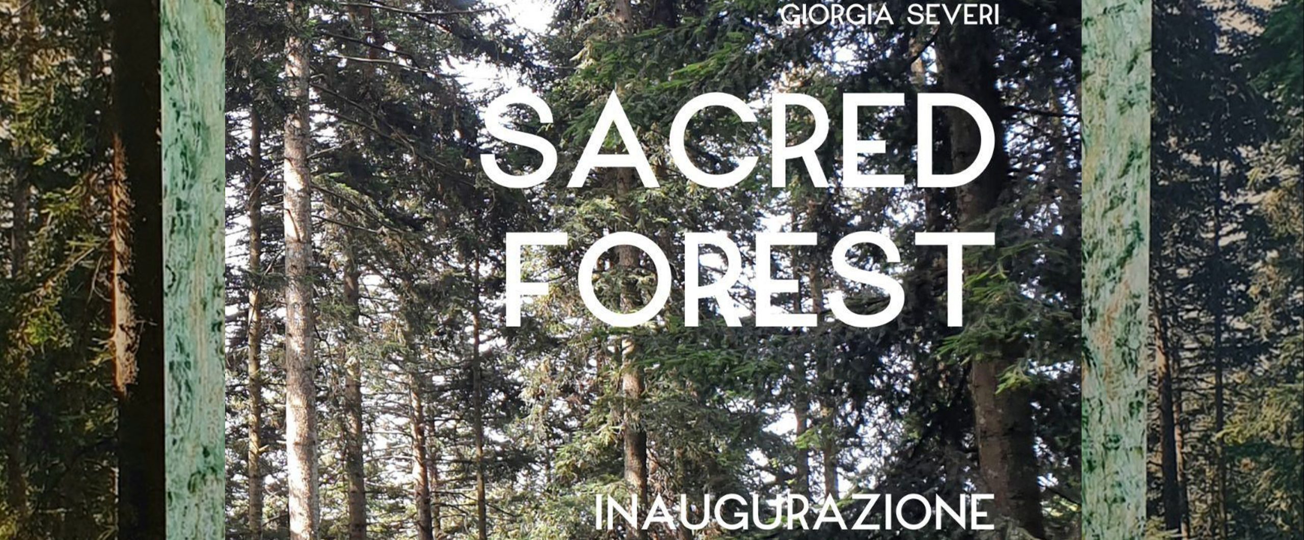 banner_sacred-forest-inaugurazione-sabato-3-dicembre-2022-museo-diocesano-faenza